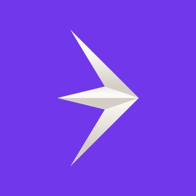 Fly logo