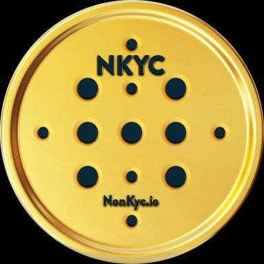 NonKyc.io logo